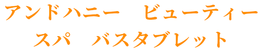 アンドハニー ビューティー スパ バスタブレット