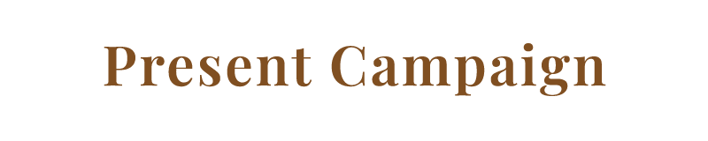 CAMPAIGN