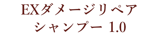 EXダメージリペア シャンプー 1.0