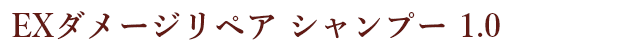 EXダメージリペア シャンプー 1.0