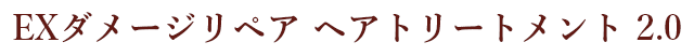 EXダメージリペア ヘアトリートメント 2.0