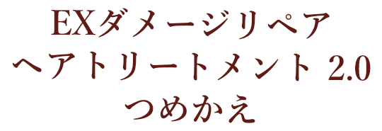 EXダメージリペア ヘアトリートメント 2.0 つめかえ