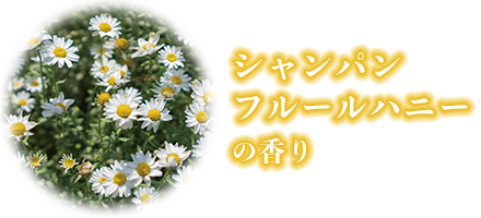 シャンパン フルールハニーの香り