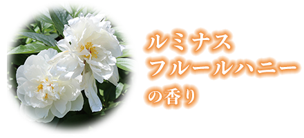 ルミナスフルールハニーの香り