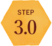 STEP3.0