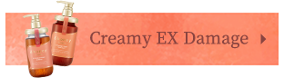 Creamy EX Damage