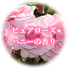 ピュアローズハニーの香り