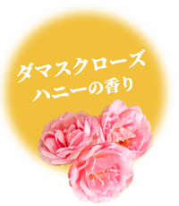 ダマスクローズ ハニーの香り