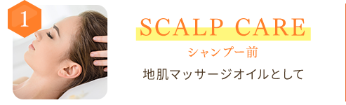 1 SCALP CARE シャンプー前　地肌マッサージオイルとして