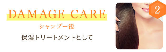 2 DAMAGE CARE シャンプー後　保湿トリートメントとして