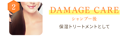 2 DAMAGE CARE シャンプー後　保湿トリートメントとして