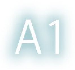 A1