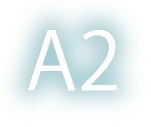 A2