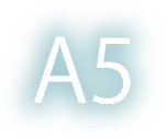 A5