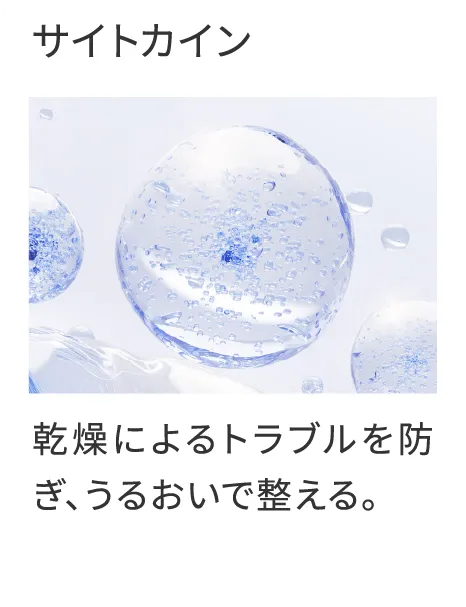 サイトカイン 乾燥によるトラブルを防ぎ、うるおいで整える。