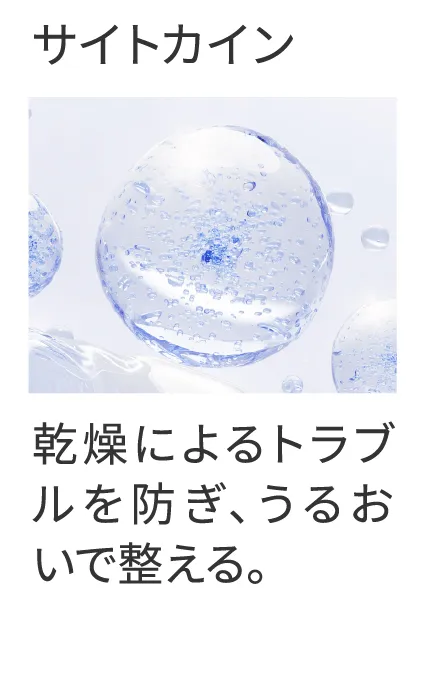 サイトカイン 乾燥によるトラブルを防ぎ、うるおいで整える。