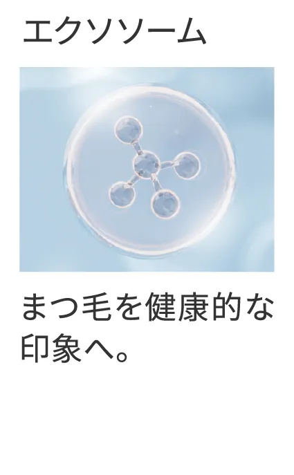 エクソソーム まつ毛を健康的な印象へ。