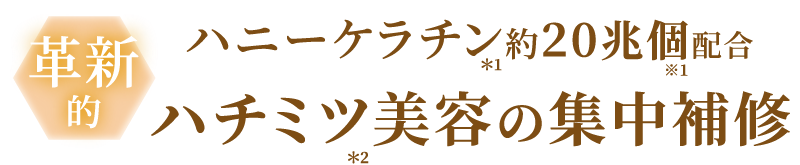 ハニーケラチン約20兆個配合ハチミツ美容で集中補修