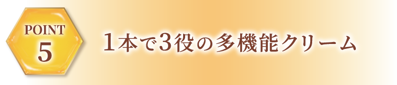 3段階の補修プログラム